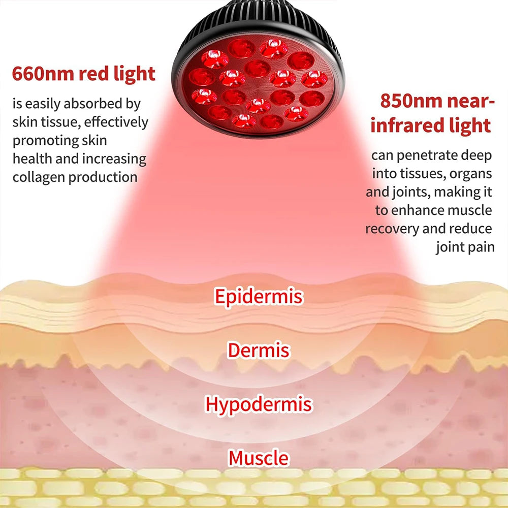 E27 Red and Near Infrared Light Therapy Device with Adjustable Stand,660nm＆850nm Desk for Neck,Knee Pain Relief,Skin Wellness